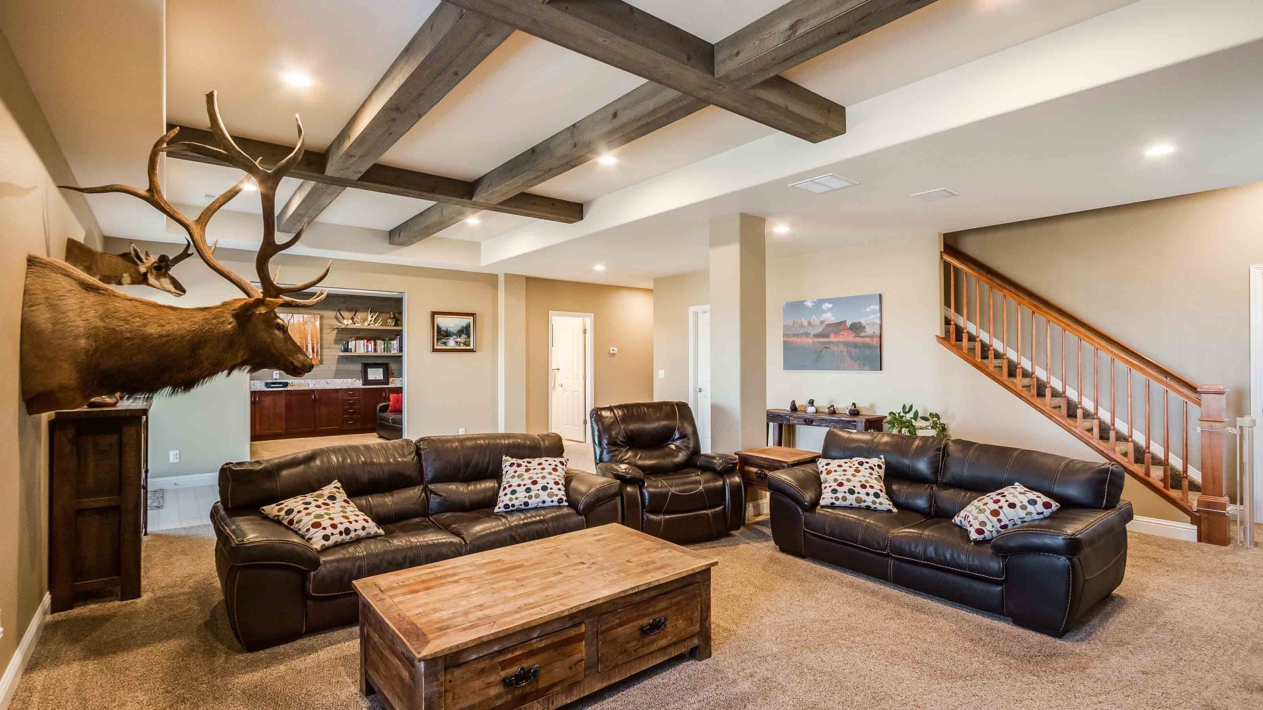 Lower Living Room 4